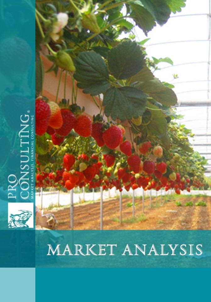 Market research report on greenhouse strawberries in Ukraine. 2017 